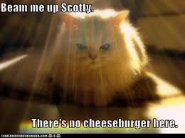 Sign in to leave a comment. I Can Has Cheezburger Beam Me Up Funny Animals Online Cheezburger