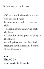 Splendor In The Grass Wordsworth Pretty Words Wisdom Quotes Splendour In The Grass