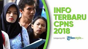 Simak Tips Dan Trik Ampuh Menjawab Soal Cpns 2018 Tiu Twk Dan Tkp Hindari 3 Hal Berikut Halaman All Tribun Medan