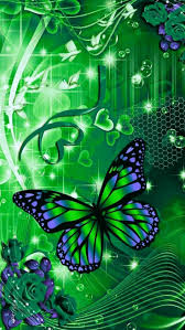 Pretty Beach Backgrounds Wallpaper Cave Tons Of Awesome Pretty Beach Backgrounds To Do Butterfly Background Pretty Wallpapers Backgrounds Butterfly Wallpaper