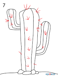 Learn how to draw a cactus using a fun illustration filled with details and great effects. How To Draw A Cactus Step By Step Pictures