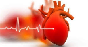 Eight easy steps for better health take control of your health by adopting food and lifestyle changes. Keep Your Heart Healthy With Vitamin D Rich Foods Amid The Covid 19 Pandemic Sound Health And Lasting Wealth