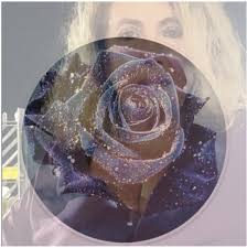 LA STORIA DELLA PRINCIPESSA E LA ROSA BLU DI Giuseppina De Biase. –  Alessandria Today Italia News Media