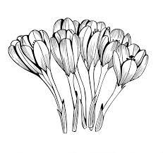 Pin On Flowers