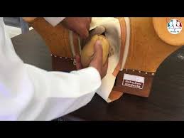 Image result for Compound Presentation