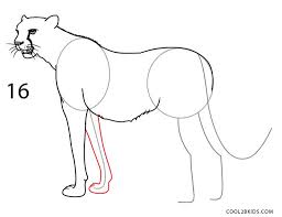 Begin drawing your cheetah by making a circle. How To Draw A Cheetah Step By Step Pictures Artofit