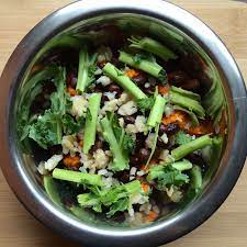 Halo holistic garden of vegan recipe. Hearty Black Bean Bowl For Dogs Vegannie