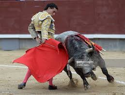 Image result for ivan fandiño