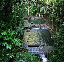 Secret Garden Pool Backyard Natural Swimming Pools Garden Pool