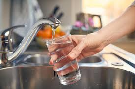 Can You Treat A Uti Without Antibiotics 7 Home Remedies