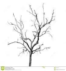 Fingerabdruck baum vorlage & andere motive kostenlos zum über baum ohne blätter zeichnen. 40 Baum Ohne Blatter Zeichnen Besten Bilder Von Ausmalbilder