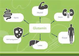 Besonders sportler schreiben ihr eine ganze bandbreite an positiven effekten zu, die. Glutamin Was Ist Glutamin Und Wofur Braucht Man Es