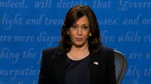 Fly Becomes Star Of U S Vice Presidential Debate After Landing On Pence S Head National Globalnews Ca