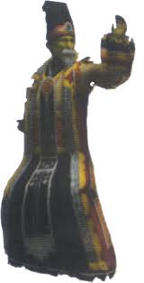 Image result for Trema sp A