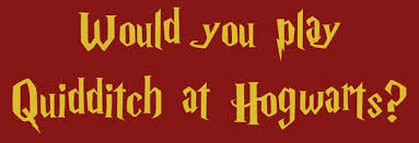 There is one more spot on your house quidditch team. We Know Which Hogwarts House You Belong In Based On 14 Yes Or No Questions
