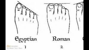 Ancestry Genealogy And Shape Of Your Toes Based On This What Are Your Roots