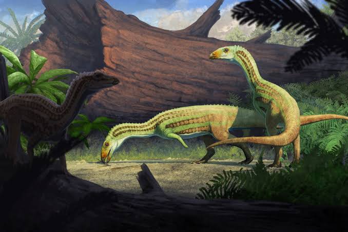 Peculiar” ancient ancestor of the crocodile started life on four legs in  adolescence before it began walking on two - Taylor & Francis Newsroom