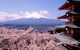 Tokyo Fuji Mountain And Sakura Flower Hd Wallpaper Desktop 3wyze Properties Consultant