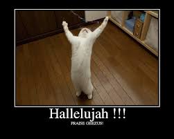 Hallelujah Funny Pictures Cats Funny