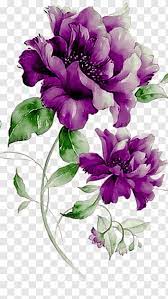Flower Purple Floral Design Purple Flowers Purple Peonies Free Png Flower Illustration Transparent Flowers Flower Painting