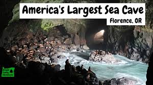 Hours, address, sea lion caves reviews: Sea Lion Caves Florence Destimap Destinations On Map