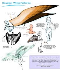 Costume Design Community Service Zannyblogging Helpfulharrie Source Wings Drawing Art Reference Poses Drawings