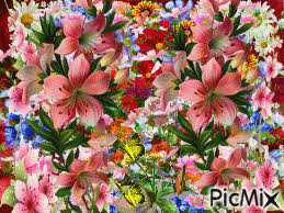 For example, gardens planted in shades of the same hue, like pink, are pleasing to the eye. A Beautiful Flower Garden Picmix