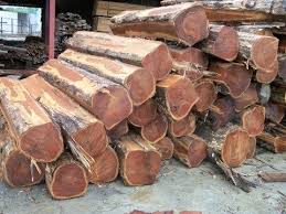 Maybe you would like to learn more about one of these? Teak Wood Logs By Brazil Commodity Brokers Teak Wood Logs From Rio De Janeiro Id 2701992