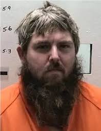 Police shoot and arrest Brownstown man following pursuit from burglary call 