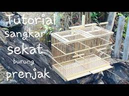 Cara merawat burung bakalan agar cepat jinak tidak bisa dipisahkan dari penggunaan tenggeran dan sangkar serta cara memandikannya. Tutorial Proses Cara Membuat Sangkar Sekat Untuk Prenjak Dari Bambu Ø¯ÛŒØ¯Ø¦Ùˆ Dideo