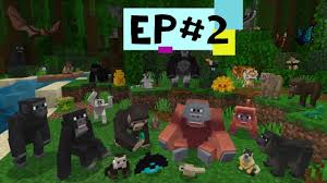 Minecraft Wildlife Jungle Animal Review Ep2 Over 70 Animals Youtube