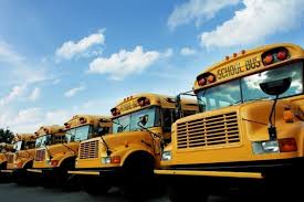 Image result for School Bus Yellow 2018 Fleet