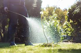 For more heavy infestation, mix up a batch of home pest control spray. Natural Garden Pest Control And Pesticide Alternatives