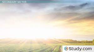 Tertiary activities are generally divided into into four categories: The Modern Economy Primary Secondary Tertiary Sectors Sociology Class 2021 Video Study Com
