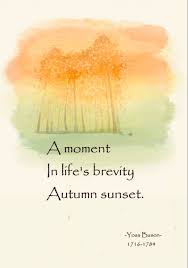 Pin On Fotos Incriveis