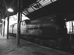 Graceful as a bird flying through the air”: Notes