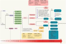 Essen kawai mandalas / essen kawai mandalas : Molecular Determinants Of Peaceful Coexistence Versus Invasiveness Of Non Typhoidal Salmonella Implications In Long Term Side Effects Sciencedirect