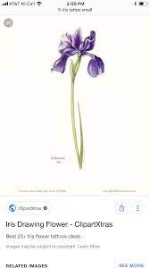Pin By Miranda Steph On Universe Iris Flower Tattoo Iris Drawing Iris Flowers