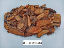 Image result for Hunteria zeylanica