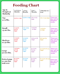 66 scientific how much to feed your puppy