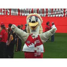 But on thursday night the swans proved they can win ugly and come from behind. Ziggy With A Mullet Afl Football Club Ziggy
