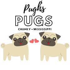 102 choctaw town ctr, philadelphia, ms, 39350. Furbabies Home Facebook