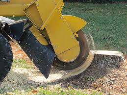Back from the nursery with a bunch of new plants you're about to plant. Land O Lakes Stump Grinding Root Pruning Service Root Pruning Land O Lakes Stump Grinding Services Land O Lakes Land O Lakes Stump Removal