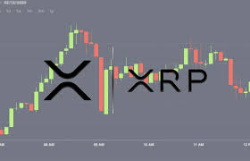 The peak prices were achieved under the impression that the token would gain adoption and easily command $5 prices, at least until it shot up to $500 when it completely destroyed bitcoin (btc). Xrp Back At Xrp Back At Post Title 325 On Bitmex After Losing 60 Of Its Value No Rollbacks Or Refunds 325 On Bitmex After Losing 60 Of Its Value No Rollbacks Or Refunds