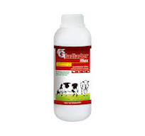 Gladiador Max 500ml TriclabendazoL Fenbendazol Antiparasitario Susp Oral,  Labet