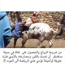 New The 10 Best Home Decor With Pictures حساب خلفيات Hd Gacq Gacq حساب معلومات G0oc G0oc للمزيد W3c5 Ssg Animals Popular