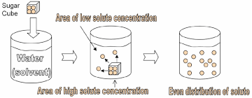 Osmosis is the process where solvent molecules move through a semipermeable membrane from a dilute solution into a more concentrated solution (which becomes more dilute). Diffusion And Osmosis Biology I Laboratory Manual