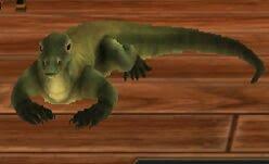 A spirit animal is characterized as a teacher or messenger that comes in the form of an animal and has a personal relationship to an individual. Komodo Dragon Spirit Animals Wiki Fandom