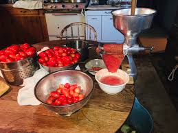 We did not find results for: The Vineyard Gazette Martha S Vineyard News Squeezo Straining