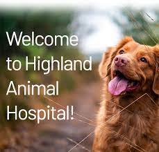 The staff was very helpful and patient. Highland Animal Hospital